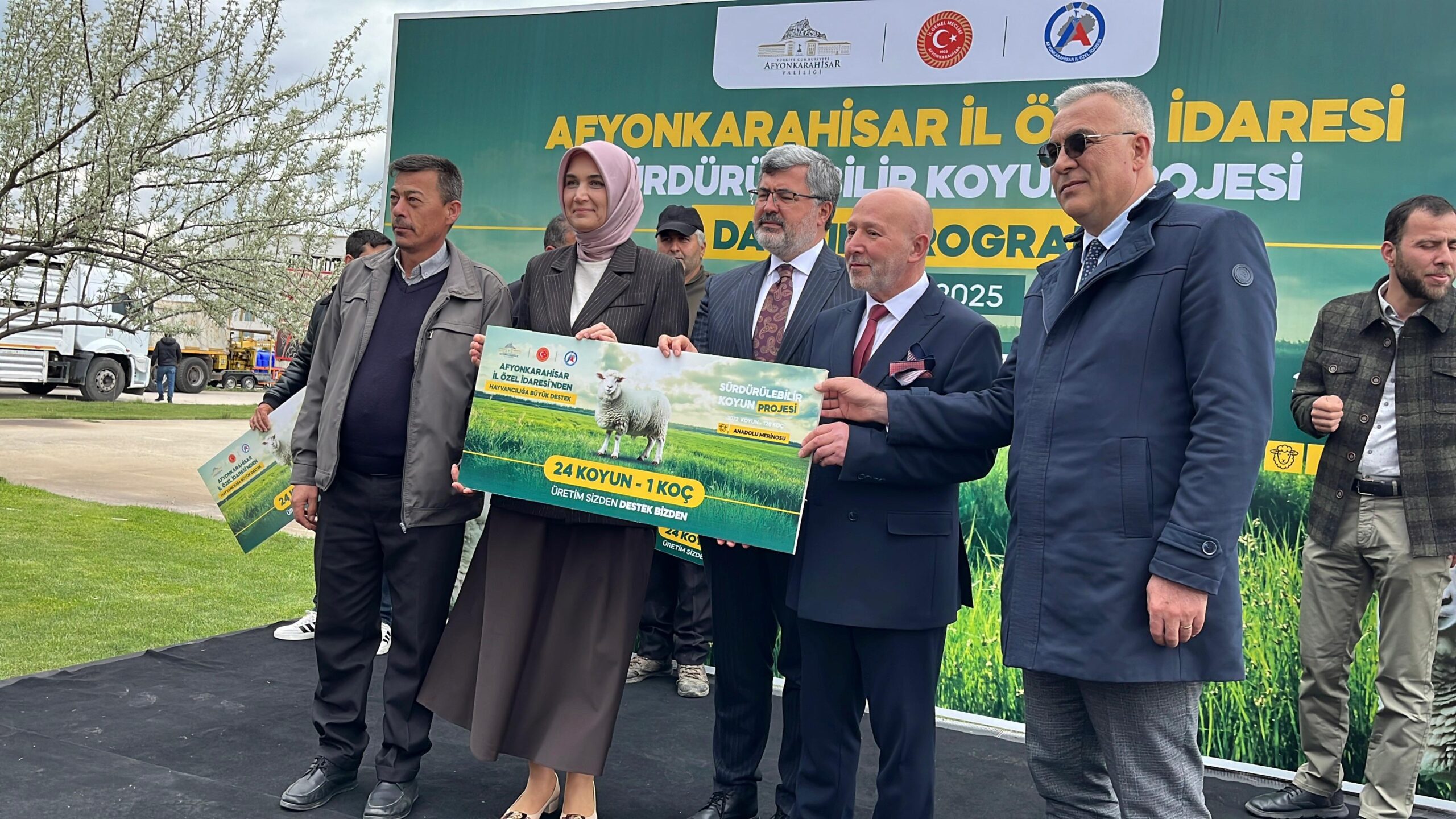 3 bin 72 adet Anadolu Merinos cinsi koyun  dağıtıldı