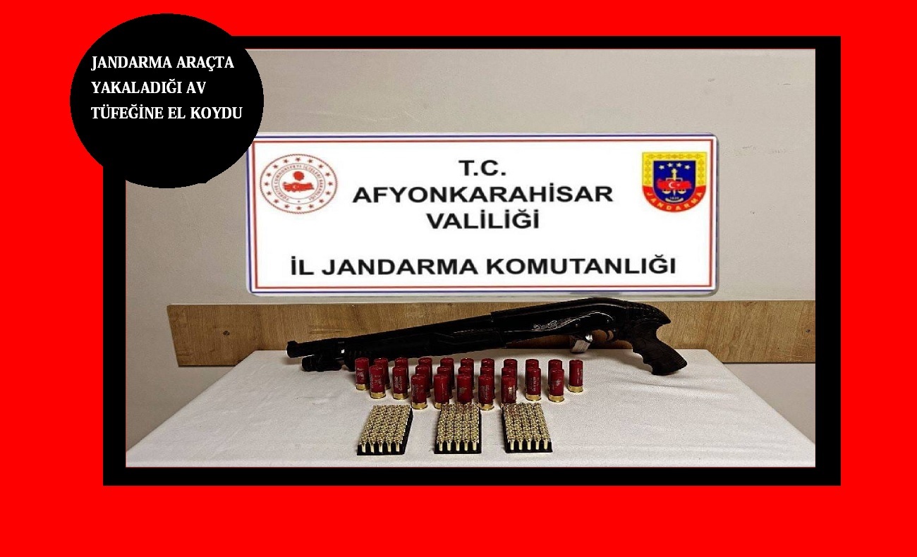 Jandarma yol kontrolü yaptı