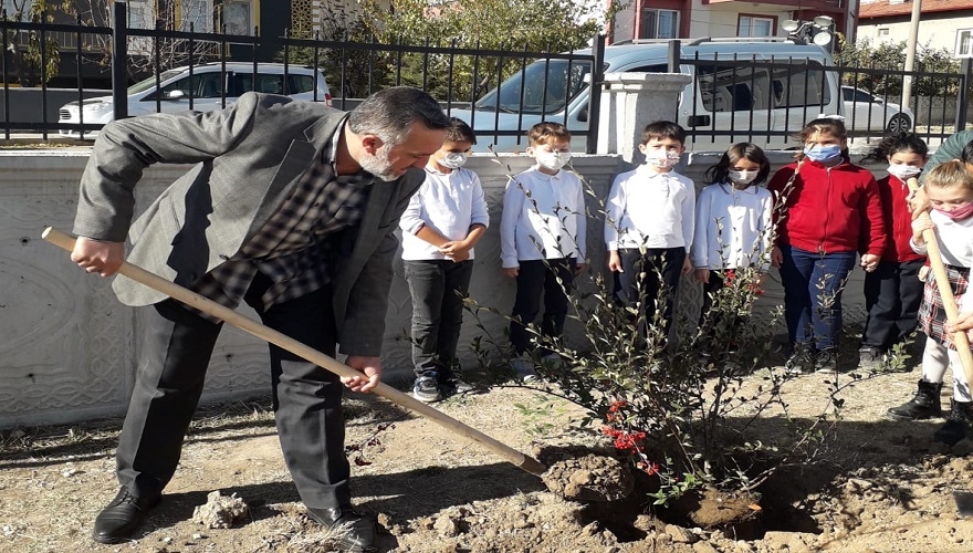Afyon Belediyesinden Ağaçlandırma seferberliği