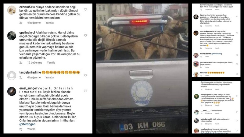 Başkan Kayacan'a gün doğdu