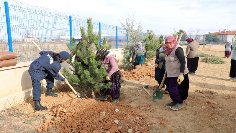 Yeni açılan karakol binasının bahçesine, ağaçlandırma yapıldı