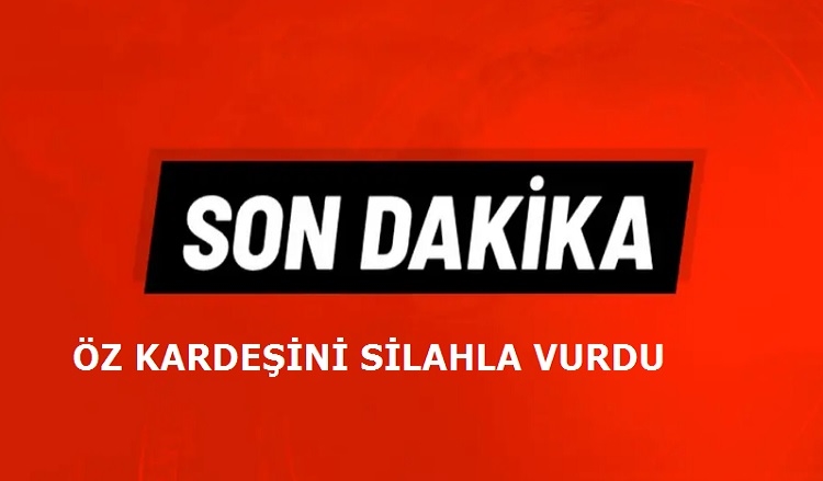 Öz kardeşini silahla kasten vurdu