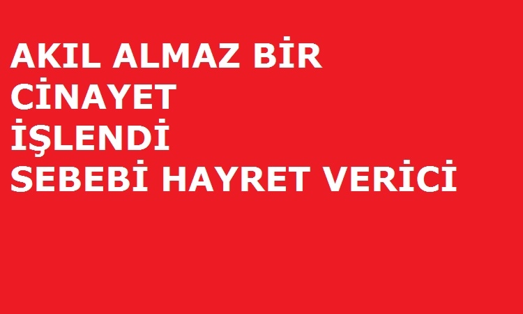 Akıl almaz cinayet