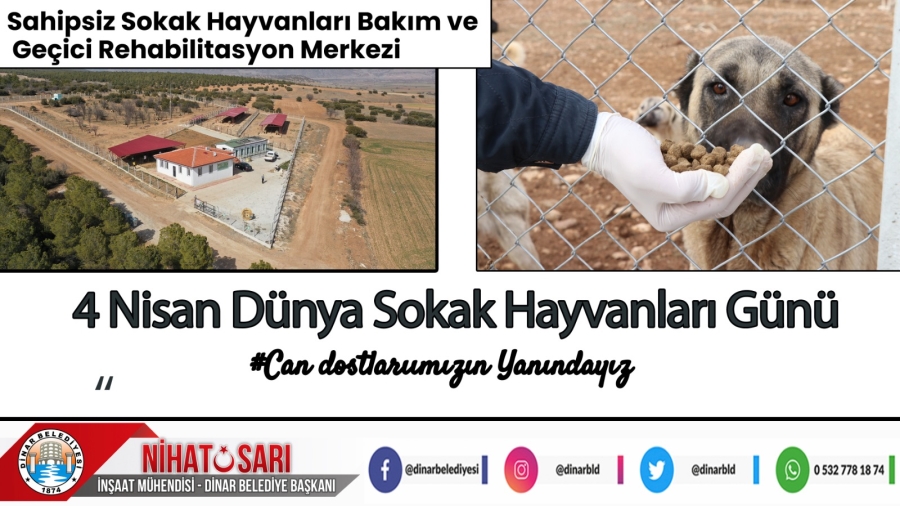 Başkan Sarı’dan Dünya Sokak Hayvanları Günü Mesajı 