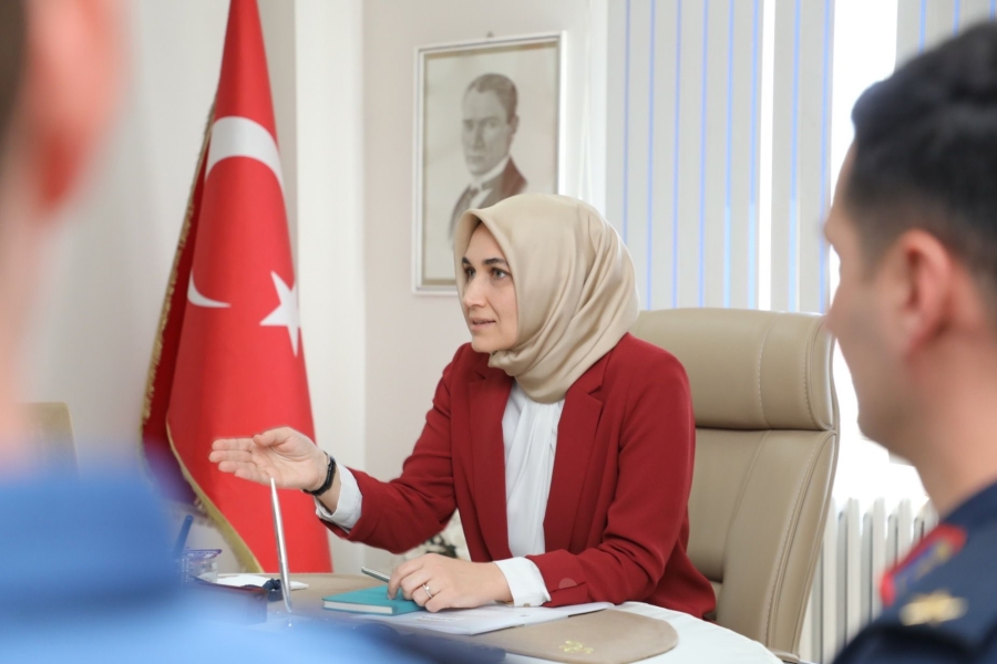 Vali Yiğitbaşı İscehisarda bilgi aldı