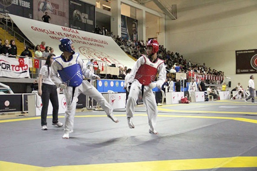 Erkmen'li Taekwon-docu Türkiye 6'ncısı oldu