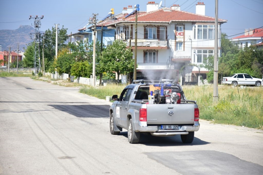 Sivrisinek ve larvalarla mücadele sürüyor