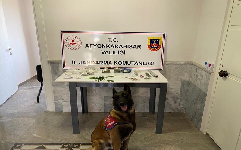 Değirmenayvalıda Jandarma operasyon yaptı