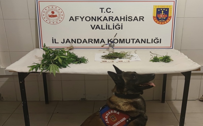 Jandarma Dinarda baskın yaptı