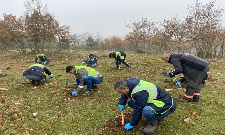 OEDAŞ’tan ikinci yüzyıla   ‘hatıra ormanı’ mirası