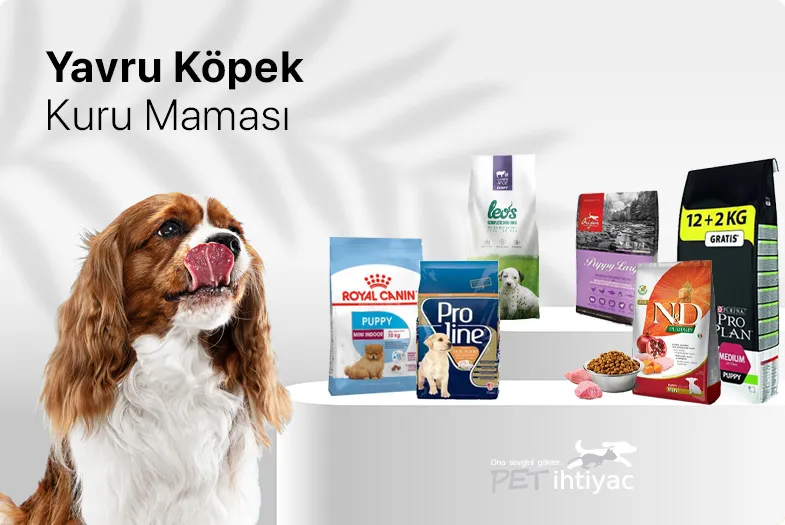 Köpek Maması Çeşitleri Neler