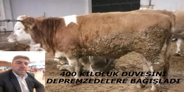 Kocatürk 400 kiloluk düveyi bağışladı