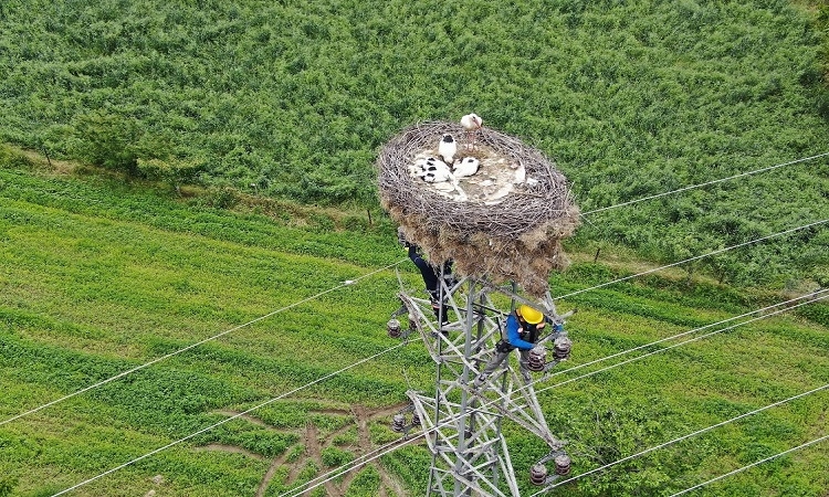 OEDAŞ engebeli arazilerin   Zorluklarını dronlar ile aşıyor