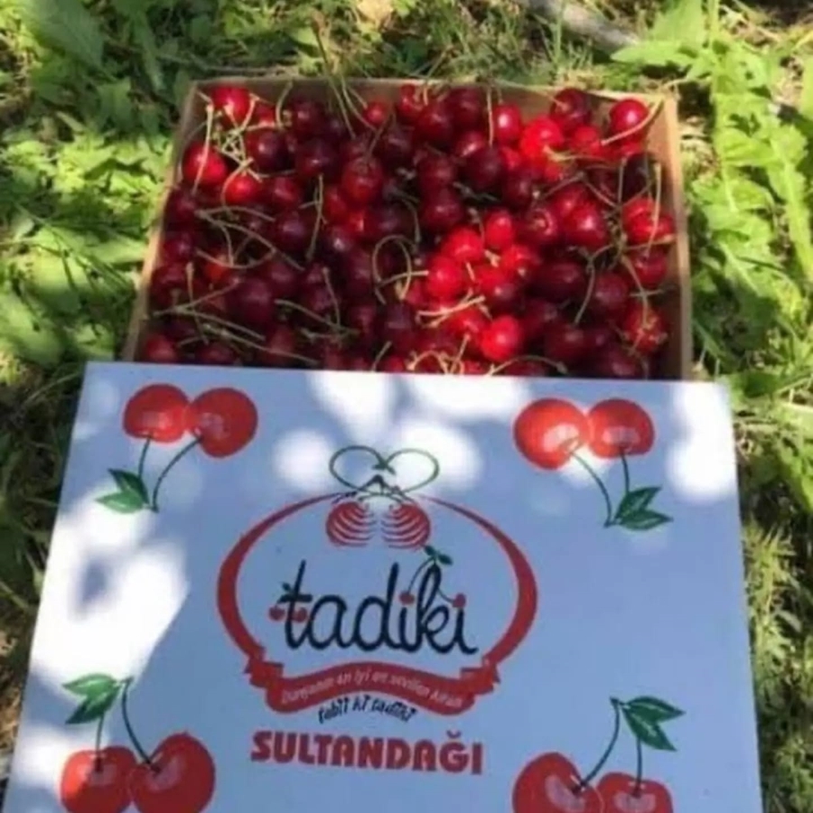 Kiraz Üreticilerinin sorunları TBMM'ye taşındı