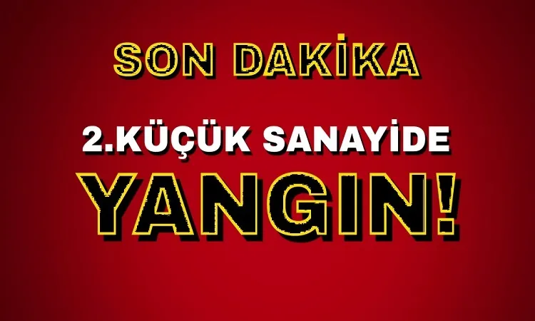 Çok sayıda beyaz eşya küle döndü