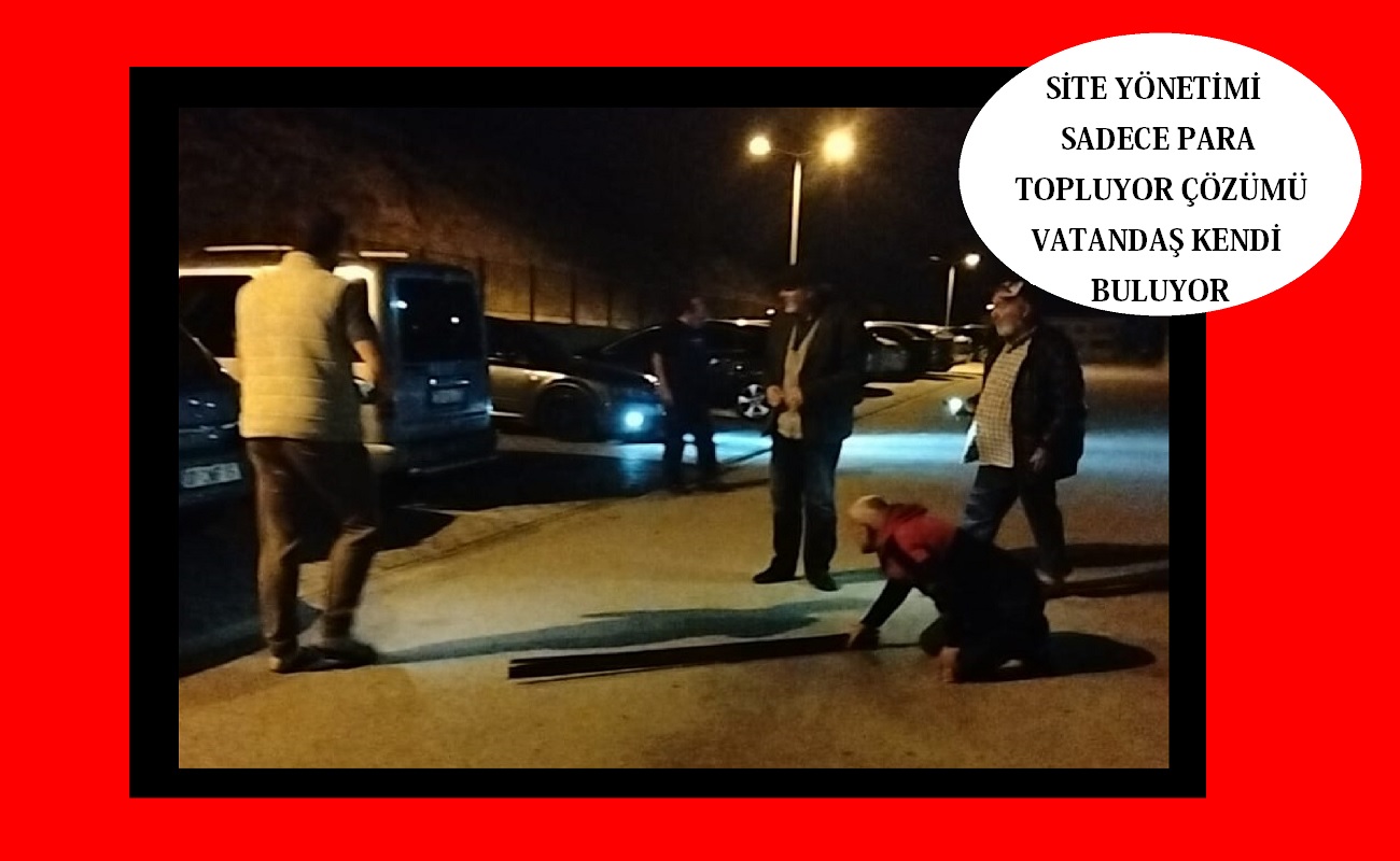 Zafer TOKİ’de fare sorununa gazeteciler neşter vurdu