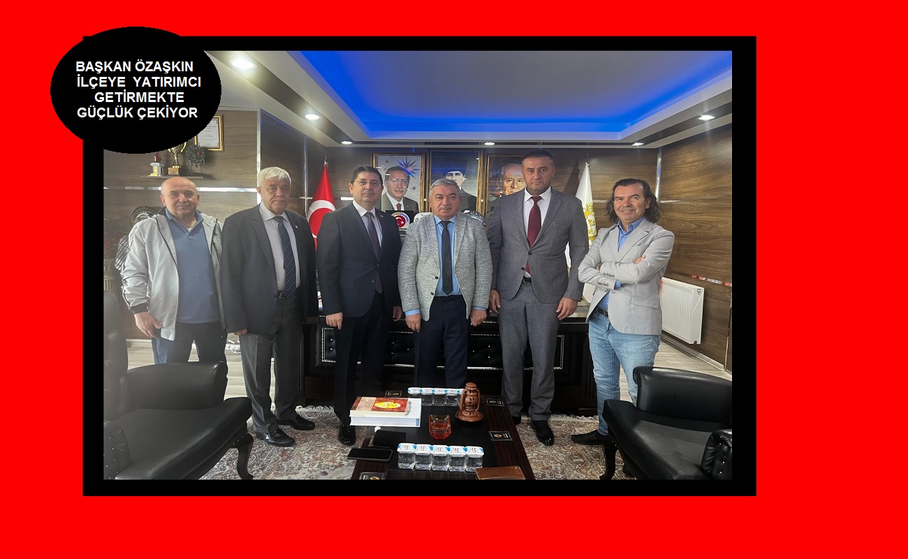 ABB Afyonkarahisar'da temaslarda bulundu