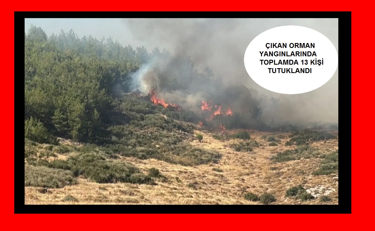 Çıkan orman yangınlarında 67 şüpheli hakkında işlem