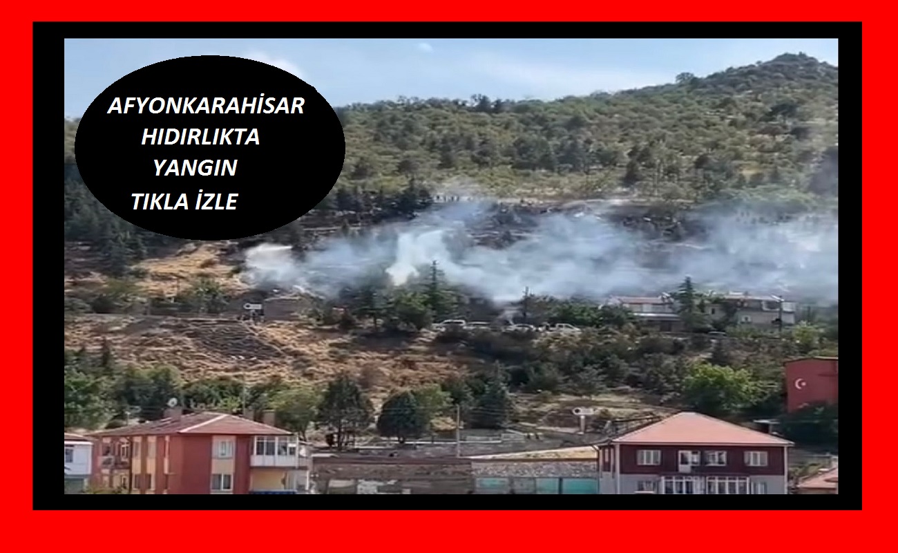 Ağaçlar ve Otluk Alan Zarar Gördü