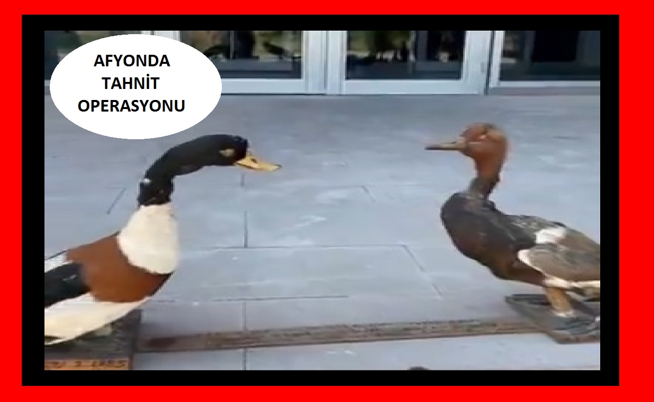 Afyonkarahisar’da Tahnit Operasyonu