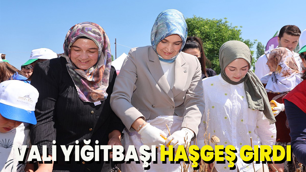 Vali Yiğitbaşı Çıkrıkta