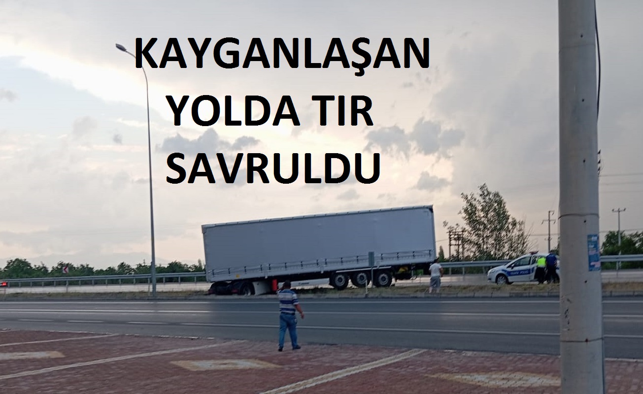 Tır yoldan çıktı