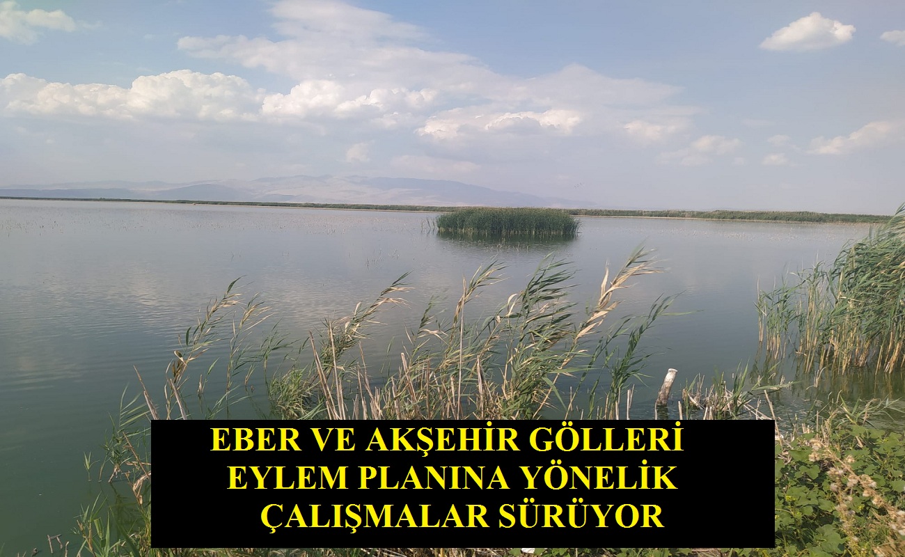 Eber ve Akşehir Gölleri Eylem Planına Yönelik Çalışmalar Sürüyor