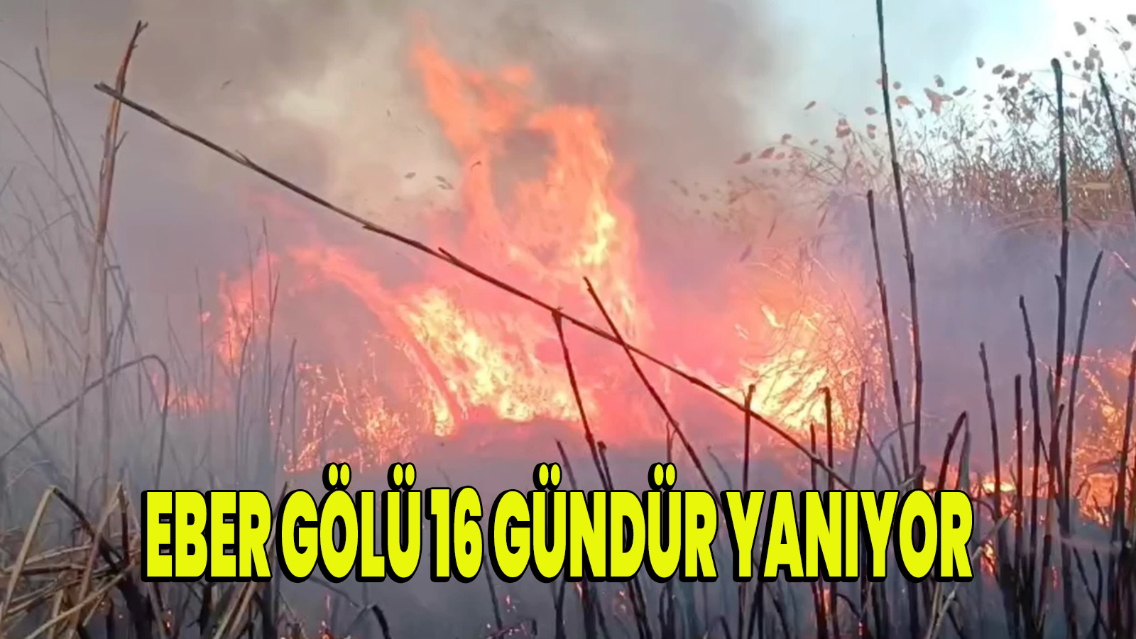 Eber Gölü 16 gündür yanıyor