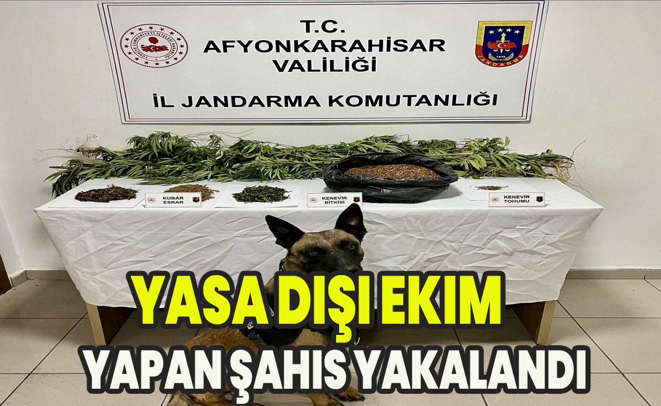 Yasa dışı ekim yapan şahıs yakalandı