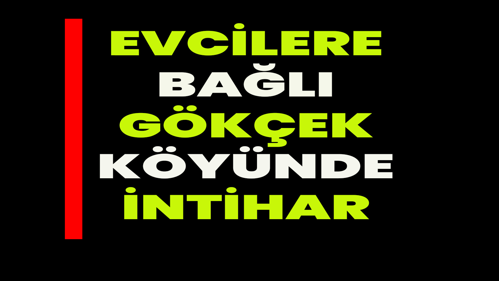 Emekli başçavuş hayatına son verdi