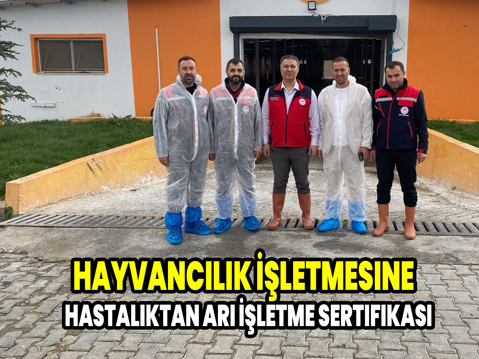 Hayvancılık İşletmesine Hastalıktan Ari İşletme Sertifikası