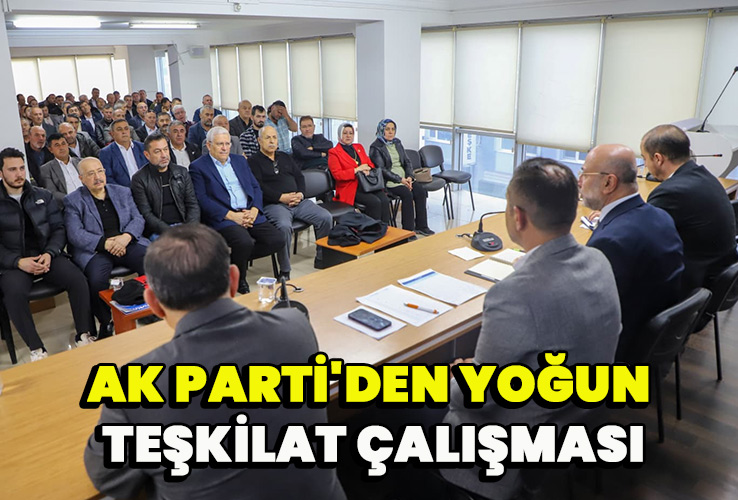 Ak Parti'den yoğun teşkilat çalışması