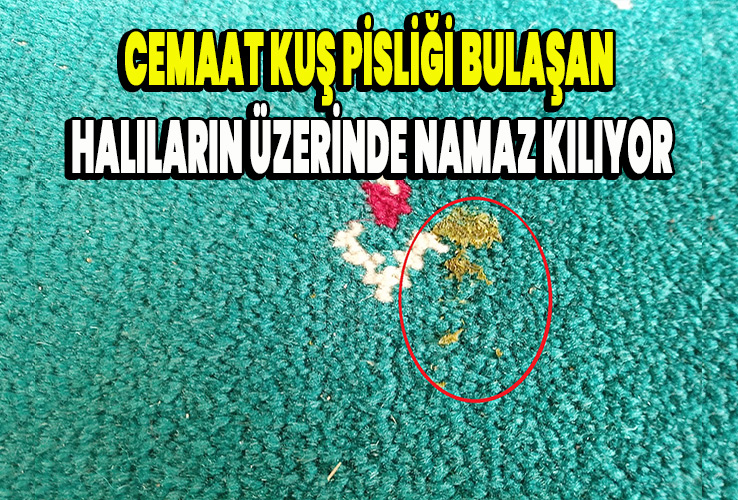 Cemaat kuş pisliği bulaşan halıların üzerinde namaz kılıyor