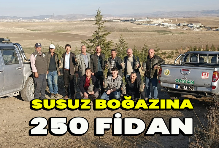 Susuz Boğazı’na 250 Fidan Toprakla Buluştu