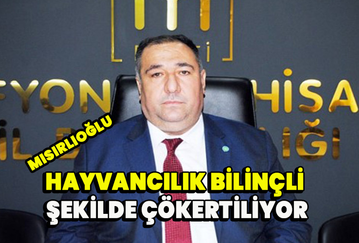 Mısırlıoğlu Hayvancılık bilinçli şekilde çökertiliyor