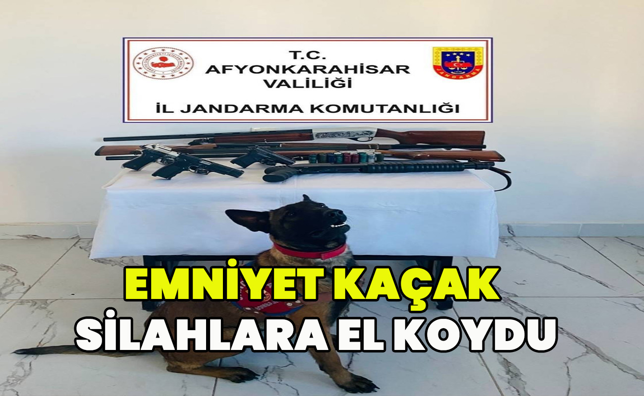 Emniyet kaçak silahlara el koydu
