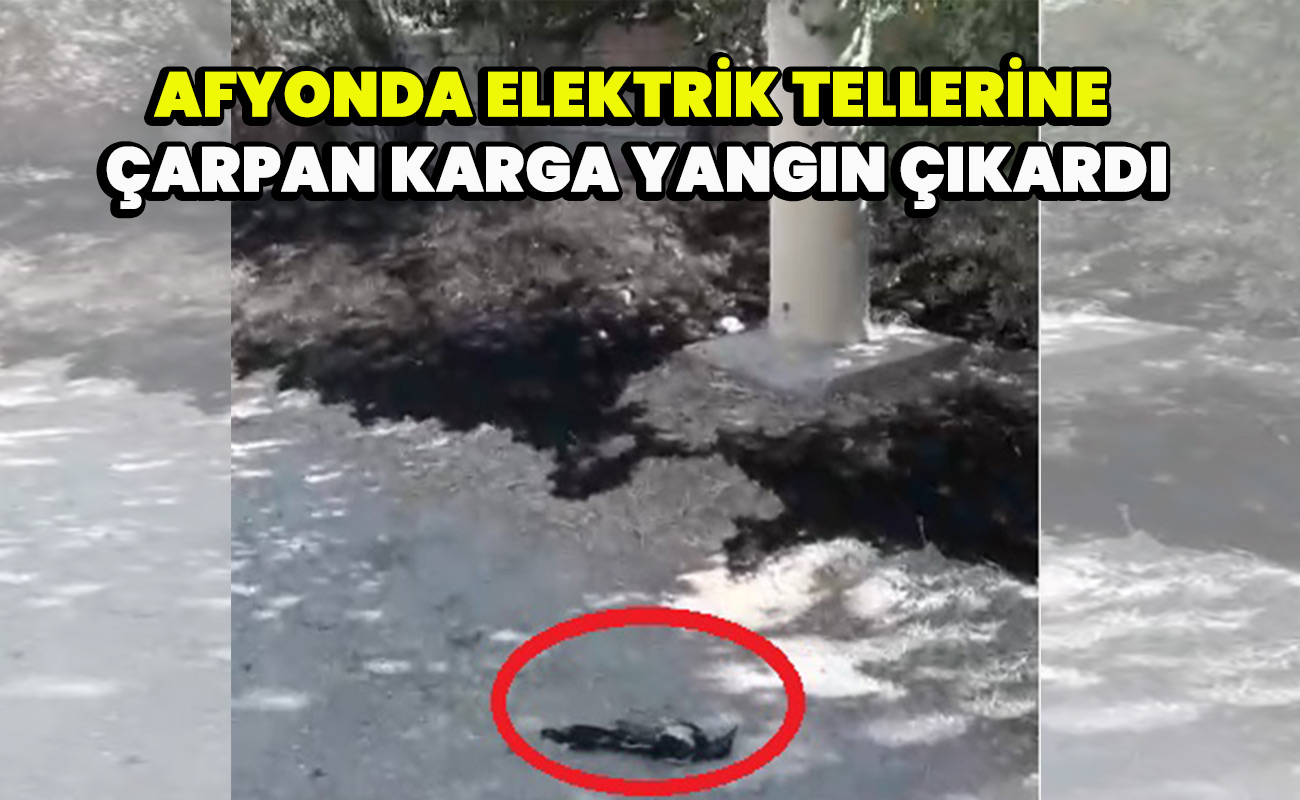 Afyonda elektrik tellerine çarpan karga yangın çıkardı
