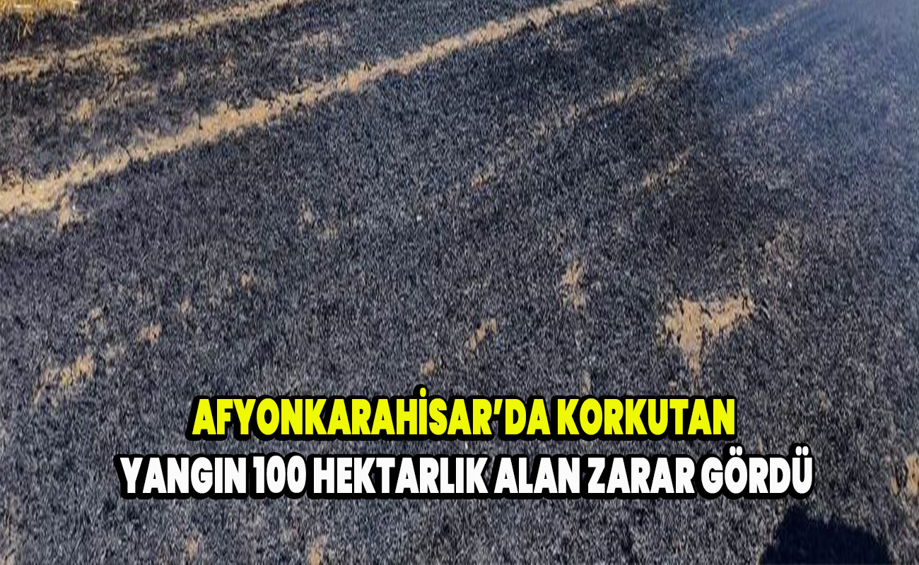 Afyonkarahisar’da Korkutan Yangın 100 Hektarlık Alan Zarar Gördü