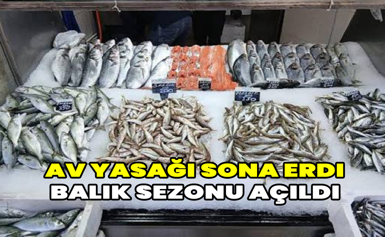 Av yasağı sona erdi Balık sezonu açıldı