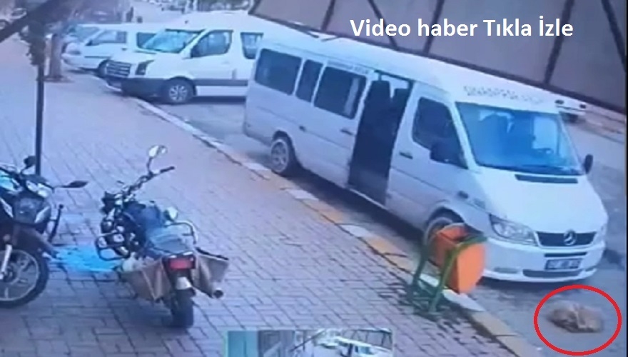 Bu görüntüler Afyonkarahisar'ın Sinanpaşa ilçesinde kayda geçti