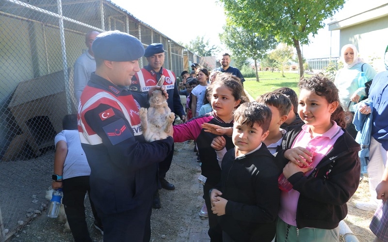 Jandarma sokak hayvanlarını unutmadı