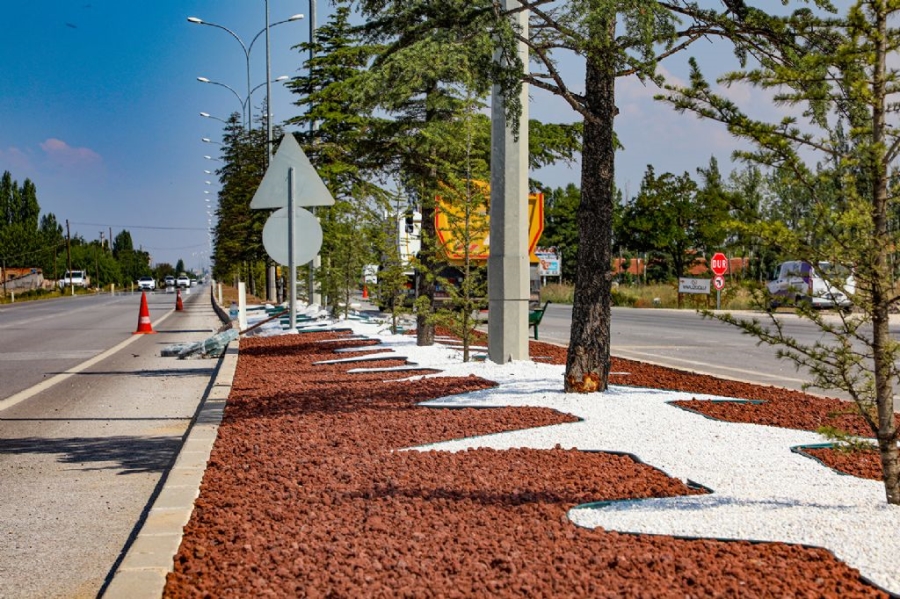 Tasarruf için yeni proje kuru peyzaj