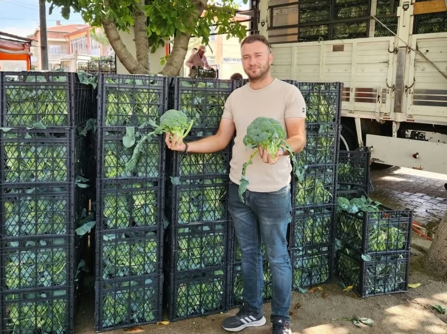MAZOT VE GÜBRE  PAHALI , O İSE BROKOLİYİ ÜCRETSİZ DAĞITIYOR